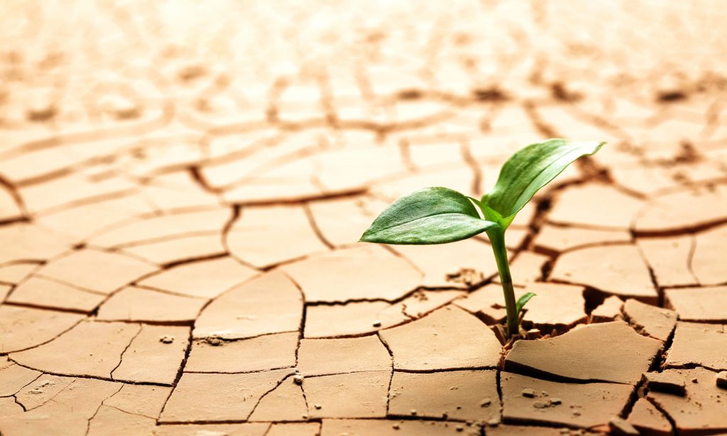 Micro-resilience