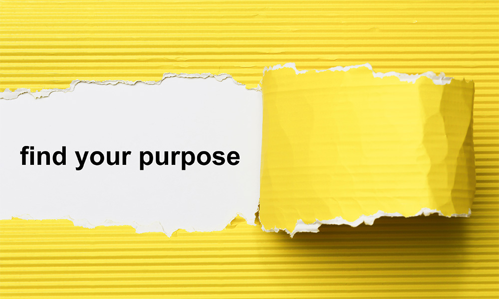 (Re) invigorate your company purpose